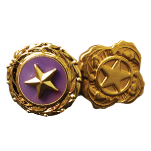gold-star-pin